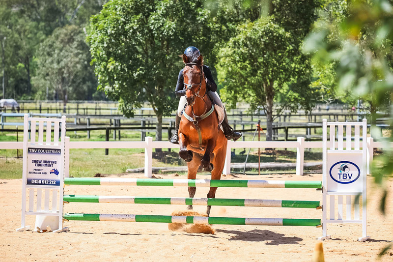 TEG 3DE 2025 SJ 80-3950.jpg