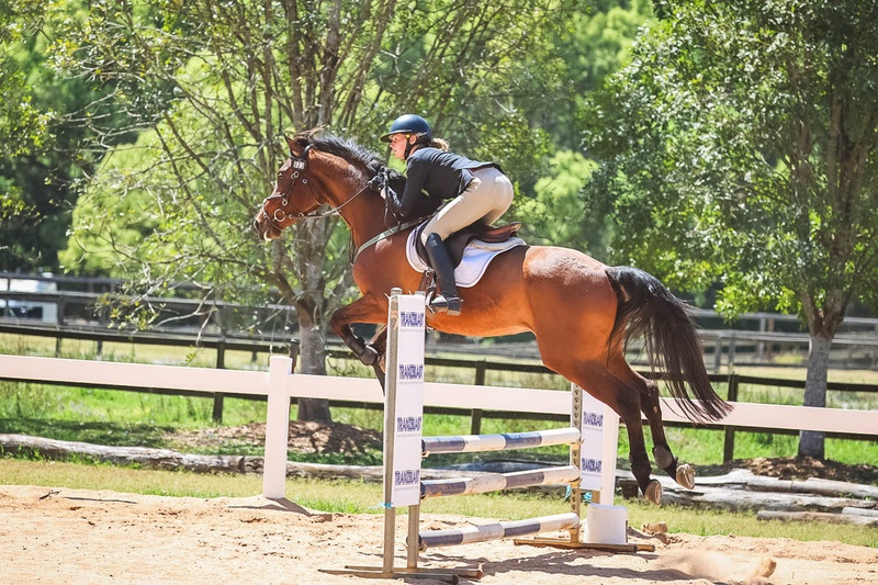 TEG 3DE 2025 SJ 80-3959.jpg