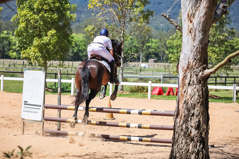 TEG 3DE 2025 SJ 80-3974.jpg