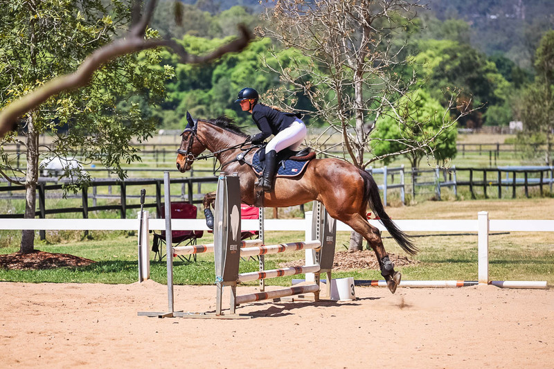 TEG 3DE 2025 SJ 80-3986.jpg