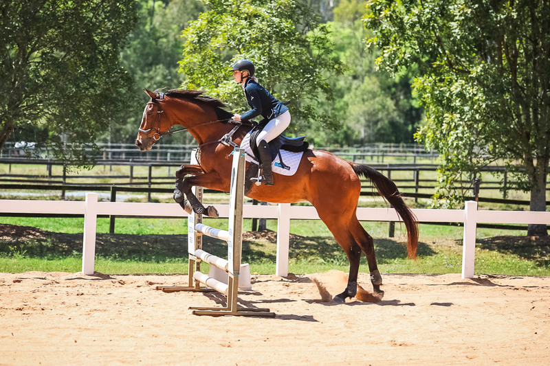 TEG 3DE 2025 SJ 80-4065.jpg