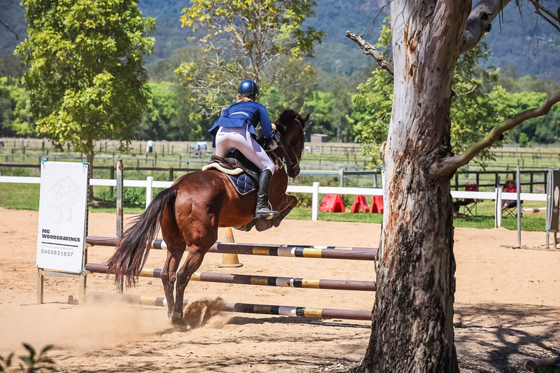 TEG 3DE 2025 SJ 80-4203.jpg