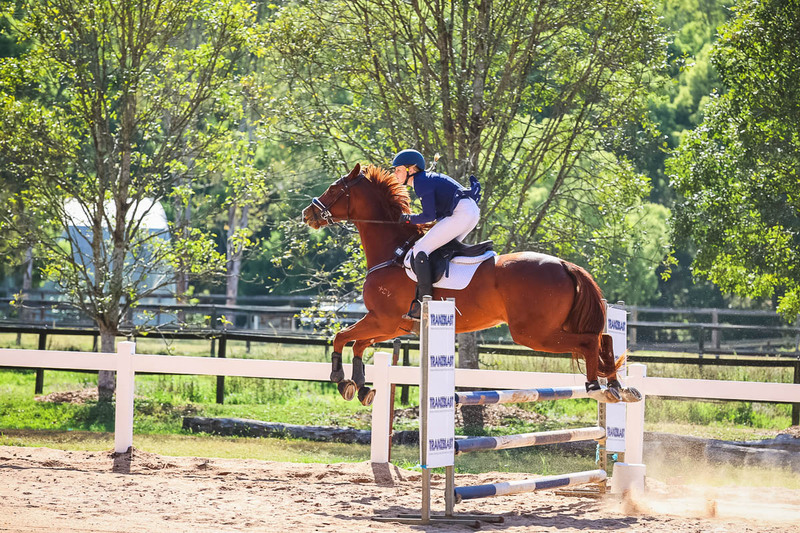 TEG 3DE 2025 SJ 95-3111.jpg