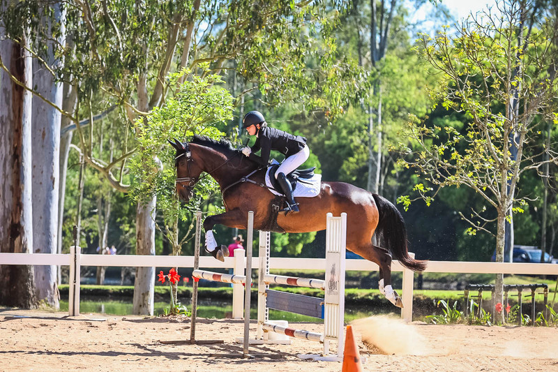 TEG 3DE 2025 SJ 95-3284.jpg