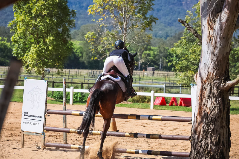 TEG 3DE 2025 SJ 95-3392.jpg