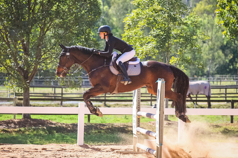 TEG 3DE 2025 SJ 95-3395.jpg