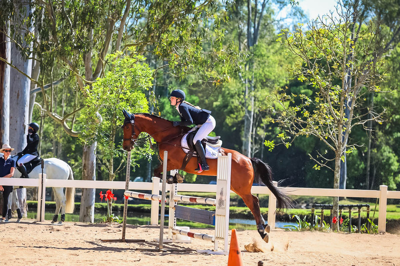 TEG 3DE 2025 SJ 95-3416.jpg