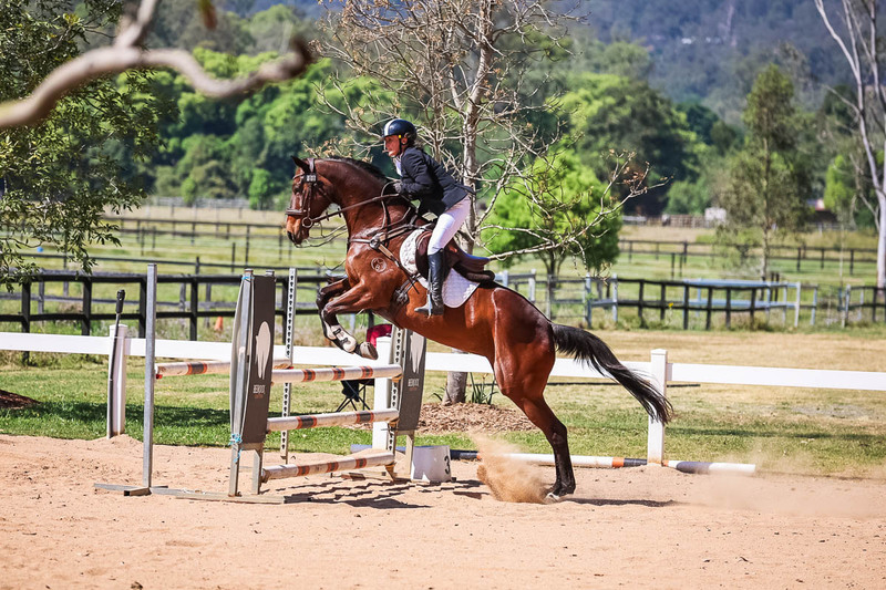 TEG 3DE 2025 SJ 95-3577.jpg