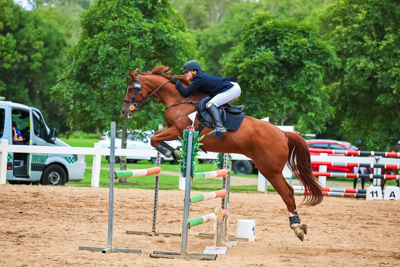 TEG March ODE 2026 1 Star SJ-3767.jpg