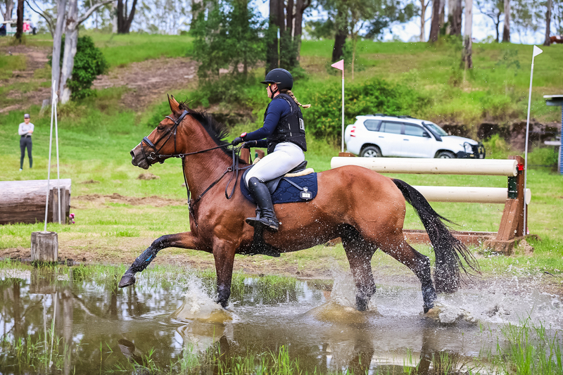 TEG March ODE 2026 1 Star XC-4078.jpg