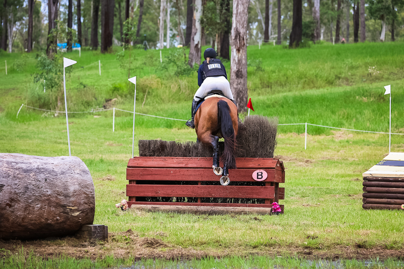 TEG March ODE 2026 1 Star XC-4081.jpg