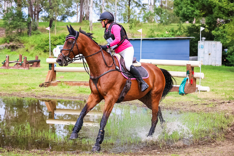 TEG March ODE 2026 1 Star XC-4093.jpg