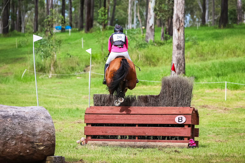 TEG March ODE 2026 1 Star XC-4096.jpg