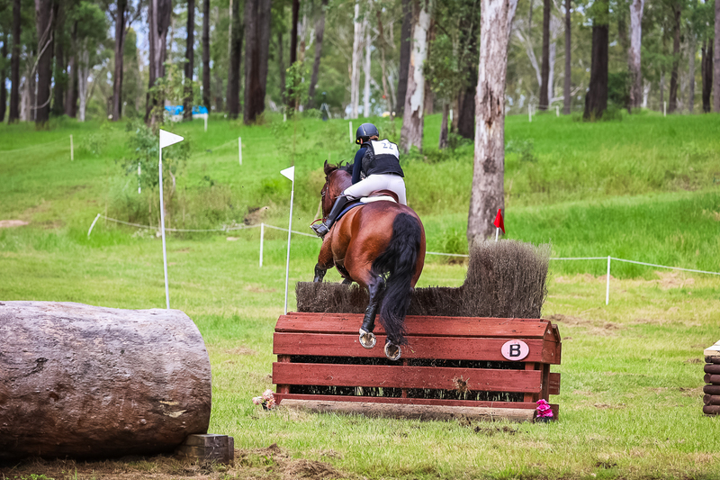 TEG March ODE 2026 1 Star XC-4110.jpg