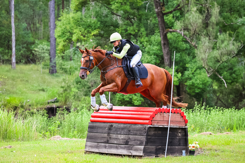 TEG March ODE 2026 1 Star XC-4112.jpg