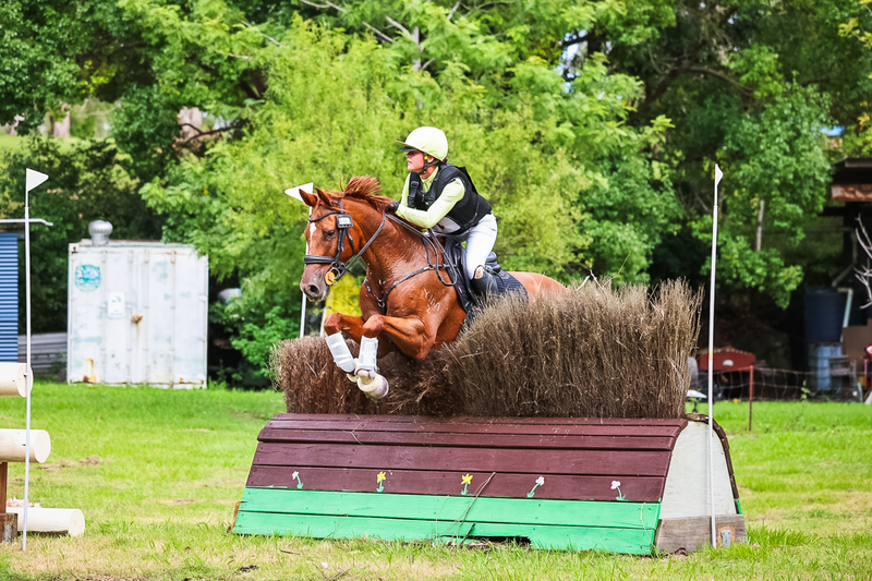 TEG March ODE 2026 1 Star XC-4116.jpg