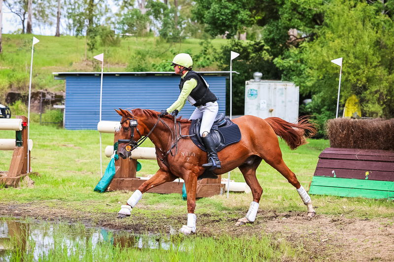 TEG March ODE 2026 1 Star XC-4121.jpg