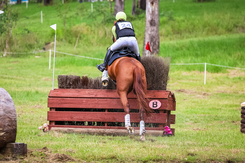 TEG March ODE 2026 1 Star XC-4125.jpg