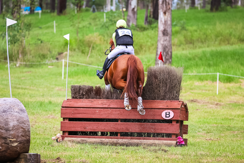 TEG March ODE 2026 1 Star XC-4127.jpg