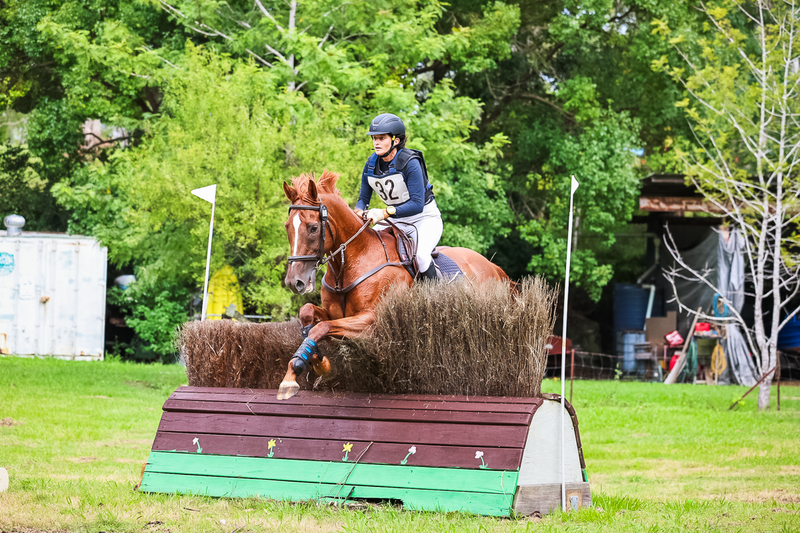 TEG March ODE 2026 1 Star XC-4148.jpg