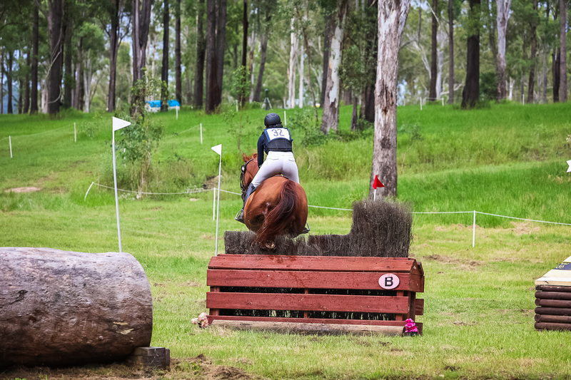 TEG March ODE 2026 1 Star XC-4154.jpg