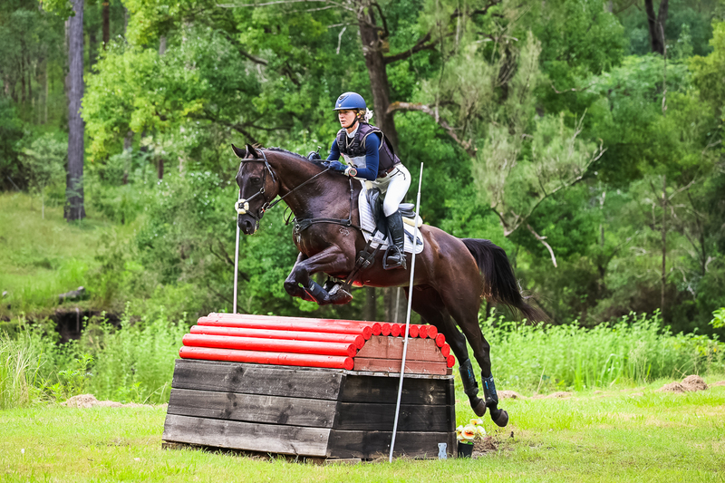 TEG March ODE 2026 1 Star XC-4155.jpg