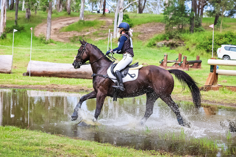 TEG March ODE 2026 1 Star XC-4165.jpg