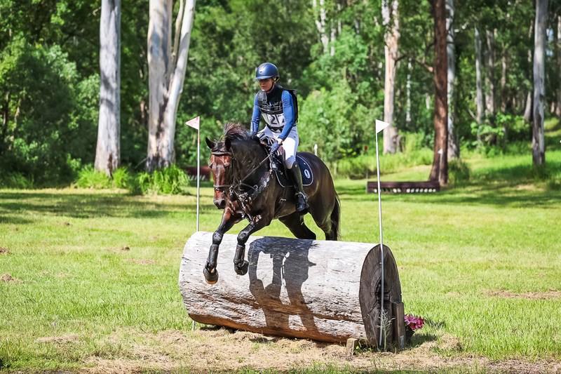 TEG March ODE 2026 2 Star XC-4170.jpg