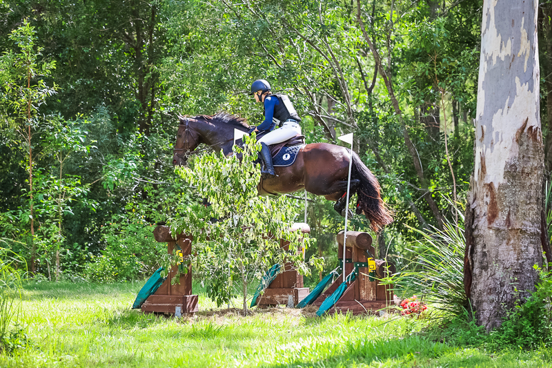 TEG March ODE 2026 2 Star XC-4174.jpg