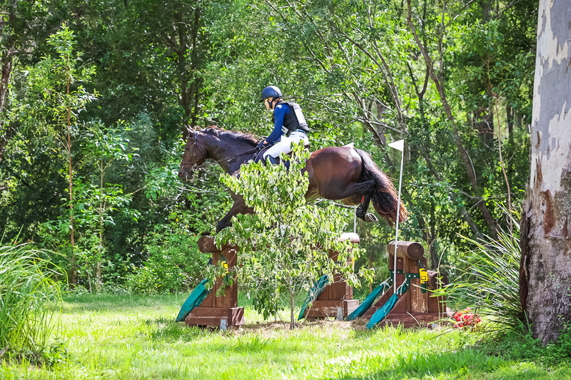 TEG March ODE 2026 2 Star XC-4175.jpg