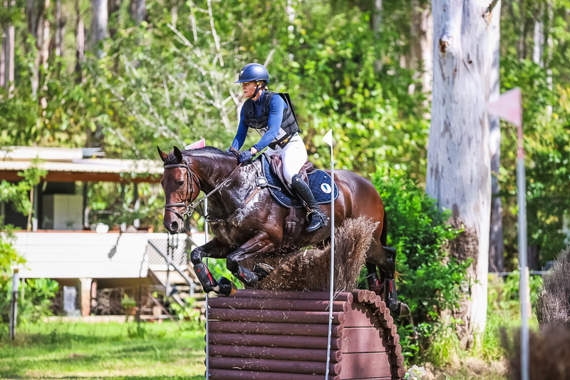 TEG March ODE 2026 2 Star XC-4177.jpg