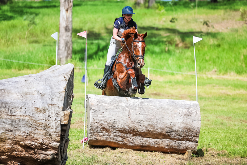 TEG March ODE 2026 2 Star XC-4183.jpg