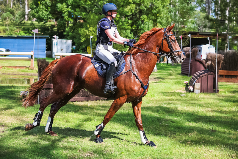 TEG March ODE 2026 2 Star XC-4188.jpg