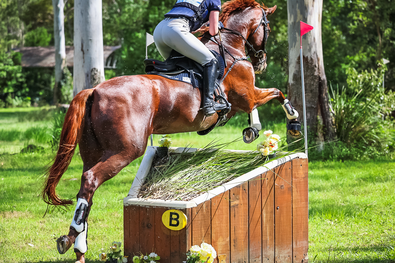 TEG March ODE 2026 2 Star XC-4190.jpg