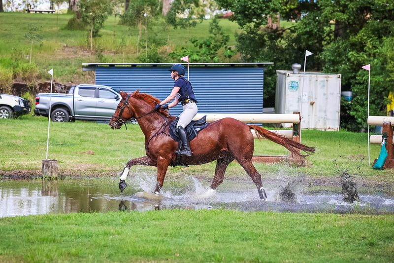 TEG March ODE 2026 2 Star XC-4199.jpg