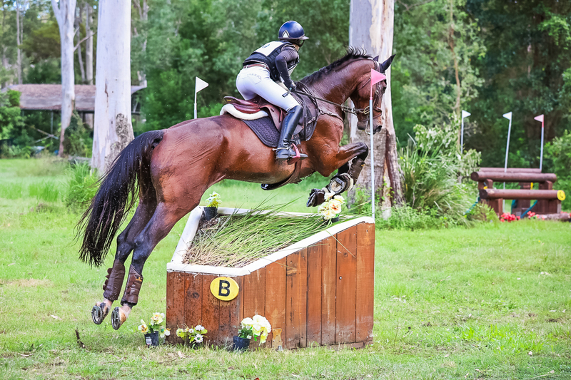 TEG March ODE 2026 2 Star XC-4210.jpg