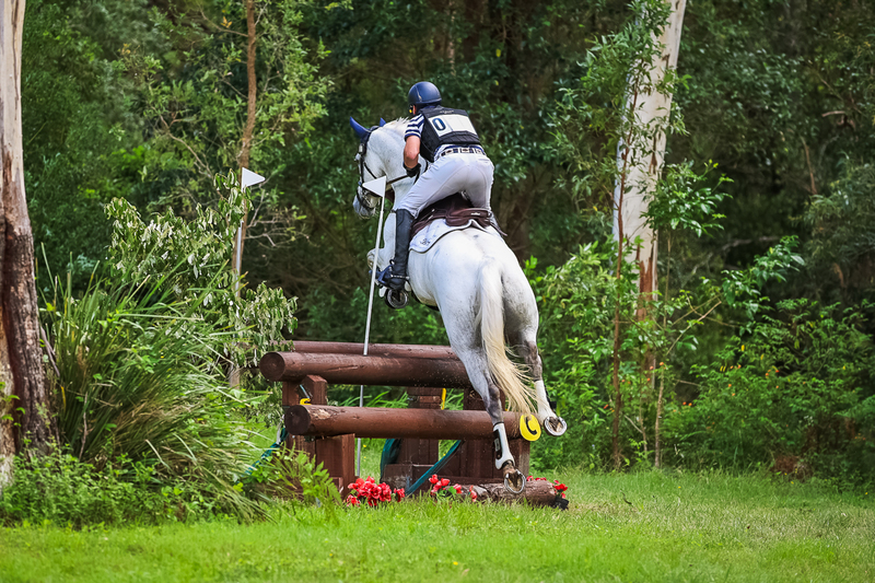 TEG March ODE 2026 2 Star XC-4223.jpg