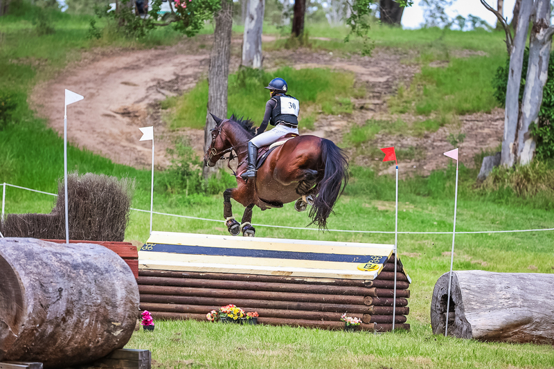 TEG March ODE 2026 2 Star XC-4232.jpg