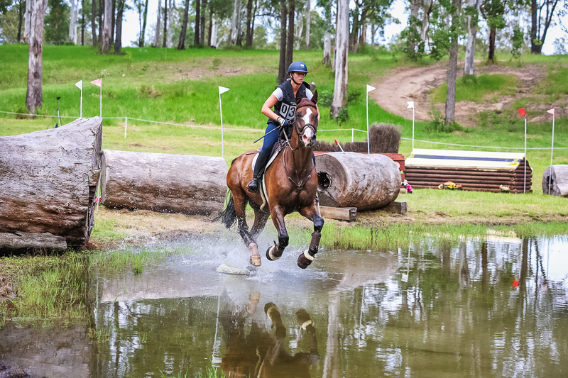 TEG March ODE 2026 2 Star XC-4247.jpg