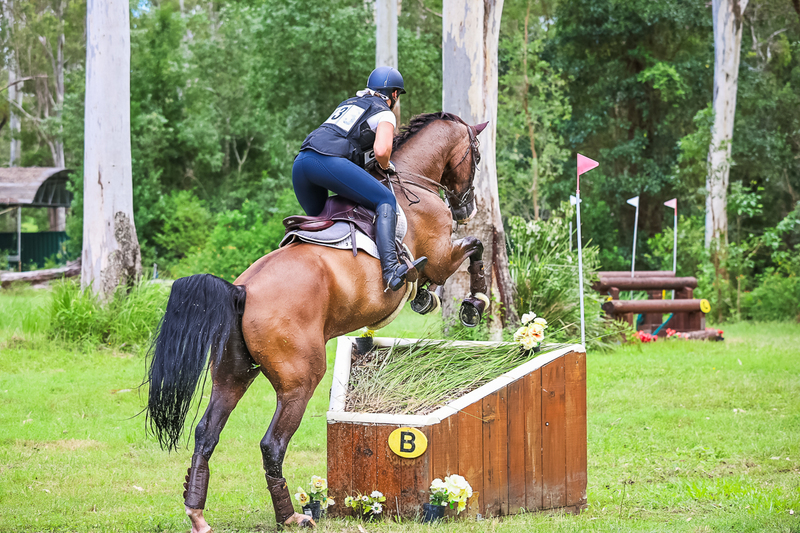 TEG March ODE 2026 2 Star XC-4249.jpg