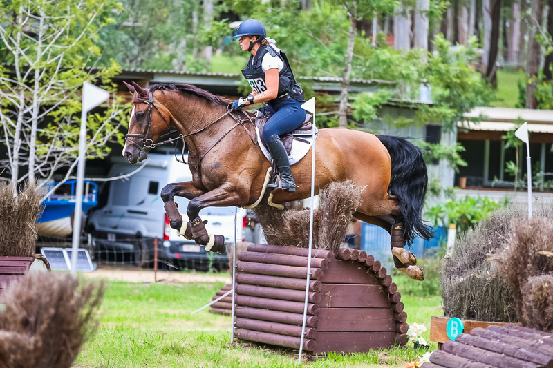 TEG March ODE 2026 2 Star XC-4261.jpg