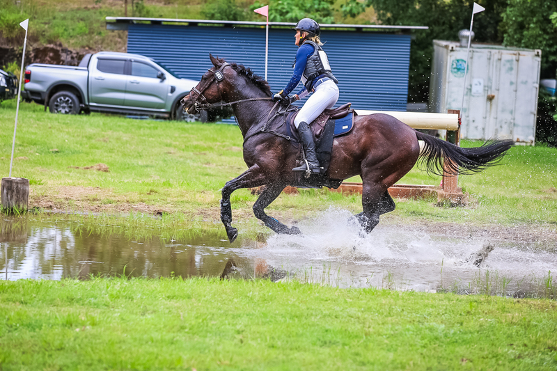 TEG March ODE 2026 2 Star XC-4284.jpg