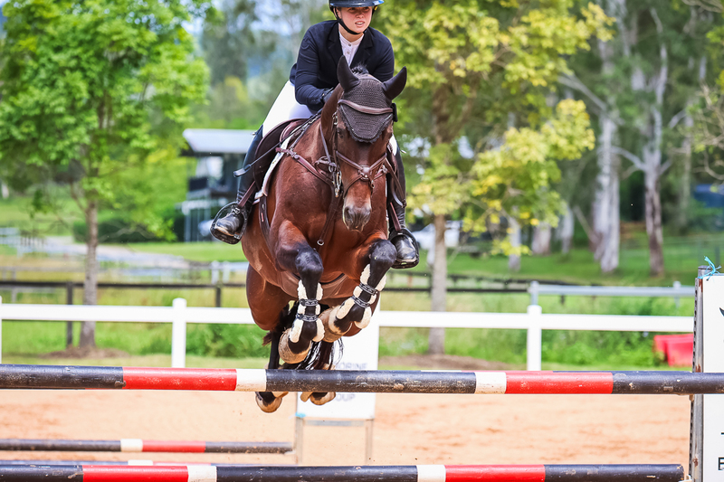 TEG March ODE 2026 2 star SJ-2531.jpg