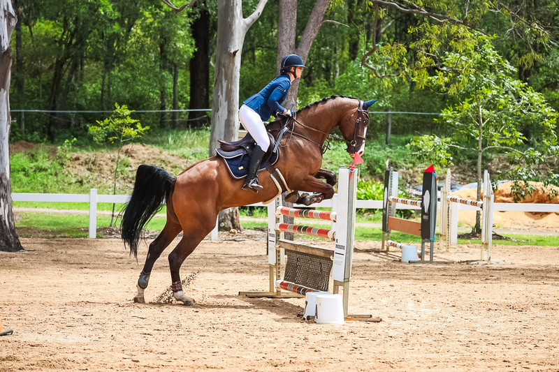 TEG March ODE 2026 2 star SJ-2563.jpg