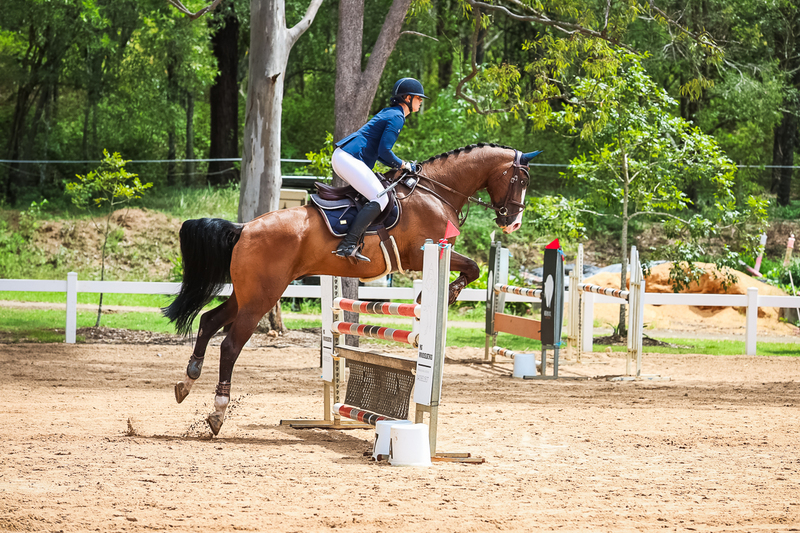 TEG March ODE 2026 2 star SJ-2564.jpg