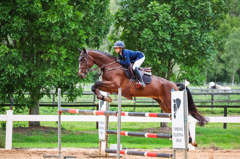 TEG March ODE 2026 2 star SJ-2618.jpg