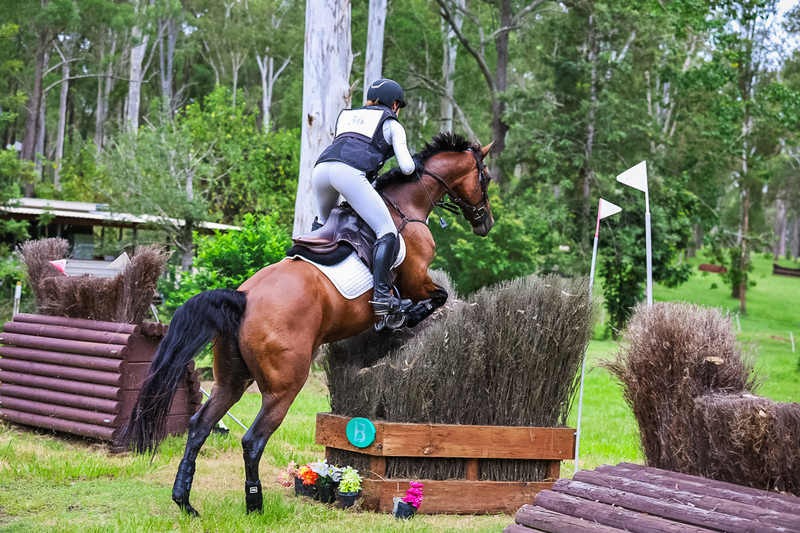 TEG March ODE 2026 3 Star XC-4303.jpg