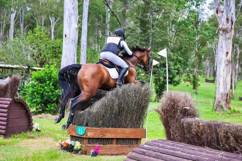 TEG March ODE 2026 3 Star XC-4305.jpg