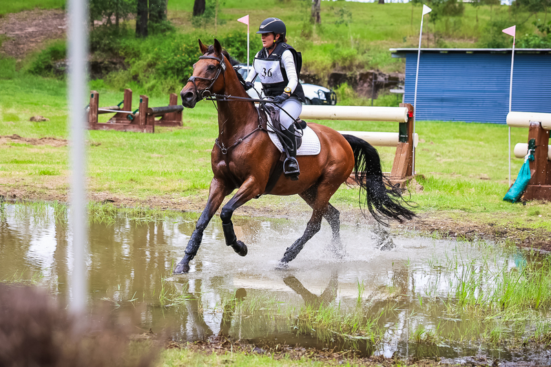 TEG March ODE 2026 3 Star XC-4313.jpg