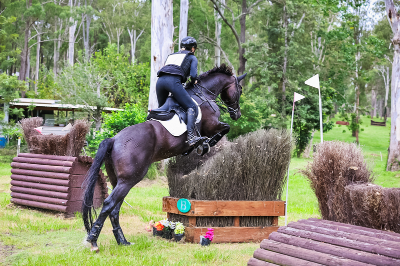 TEG March ODE 2026 3 Star XC-4328.jpg